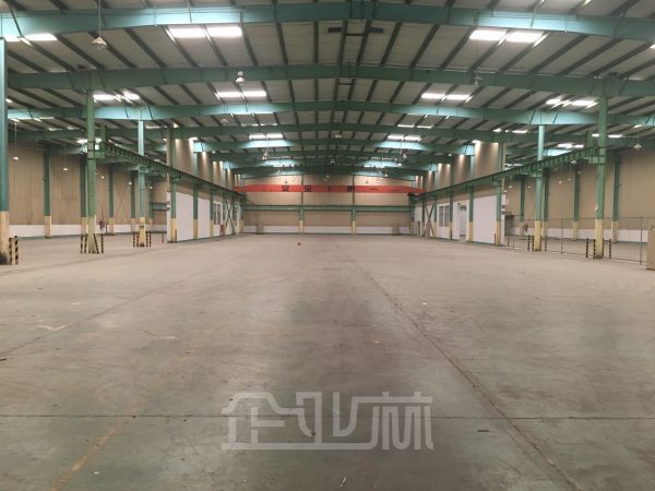 松江老城区 高平台仓库 6400平 9米