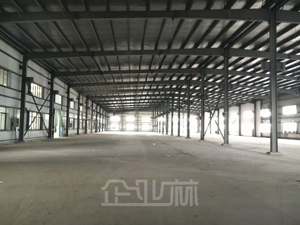 朱桥 全单层厂房1500平 15米