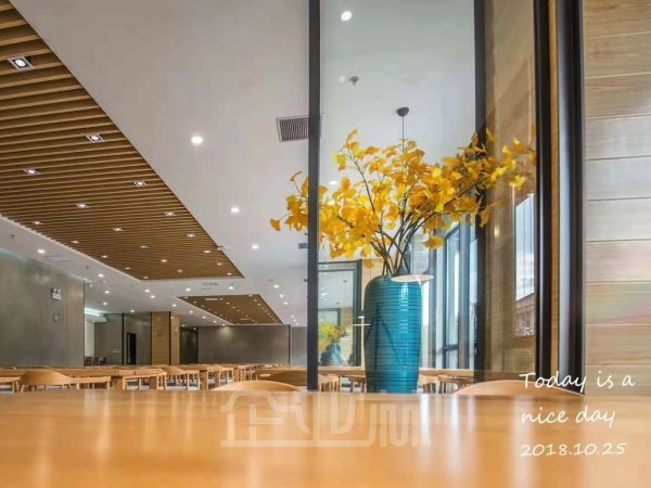 出租 松江新桥300平米办公楼
