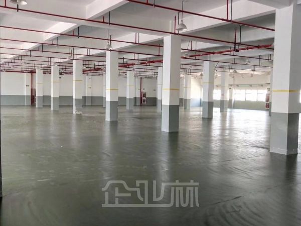 松江漕河泾配套生产型厂房有消防喷淋底楼1500平  可办环评