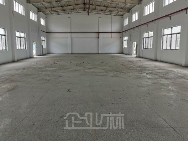 泗泾1100平独栋单层标准厂房对外出售    报价12800元/平米