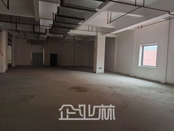 出租松江车墩园区1000平  配套齐全 有蒸汽燃气 排污房食品园区