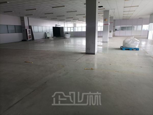 出租松江稀缺双层厂房1.1万平
